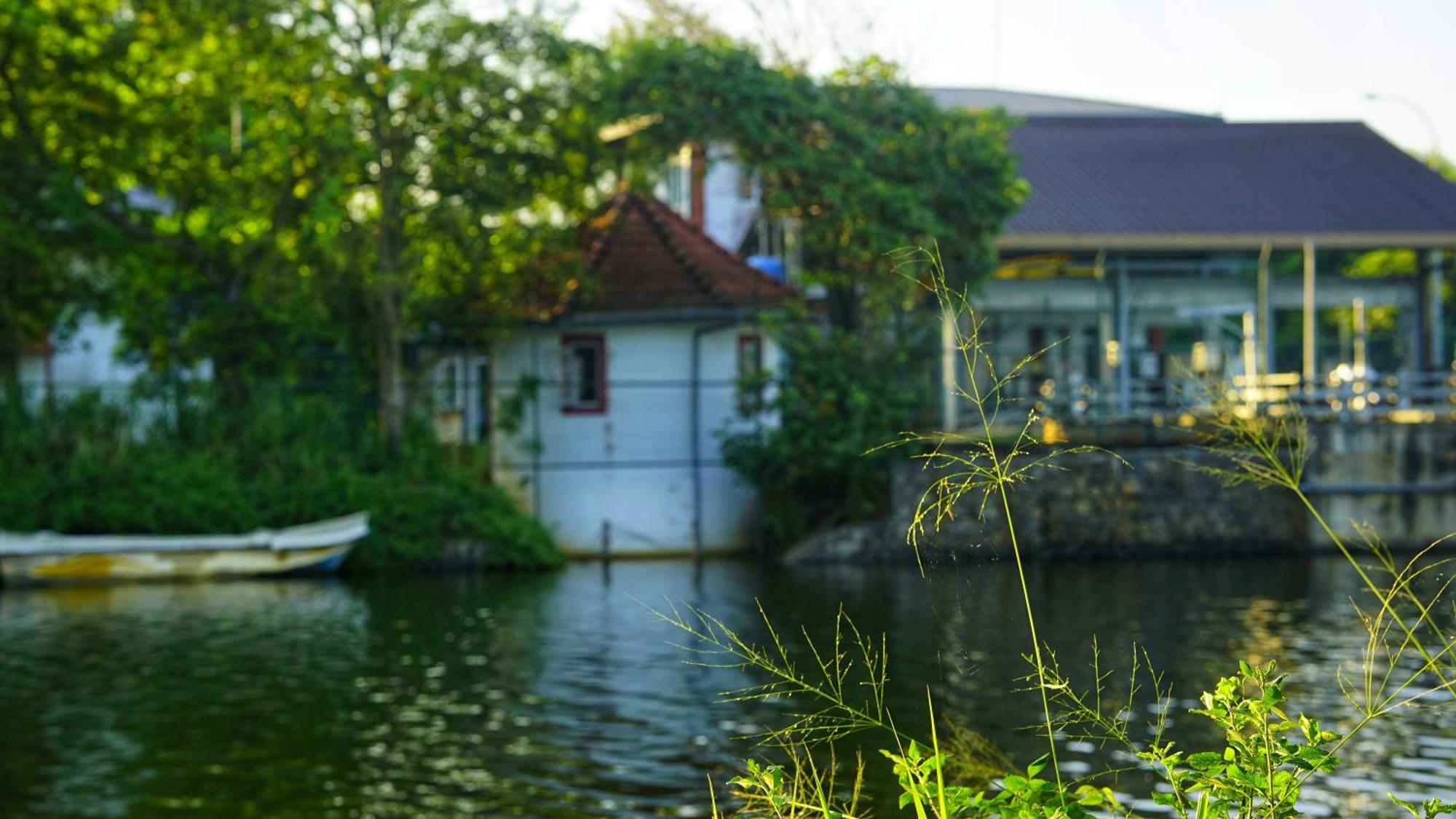 Lake Island Home Stay Dambulla Dış mekan fotoğraf